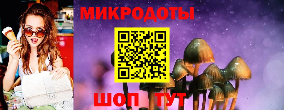 Ишим  Галлюциногенные грибы GOLDEN TEACHER  цены   Вход с VPN 