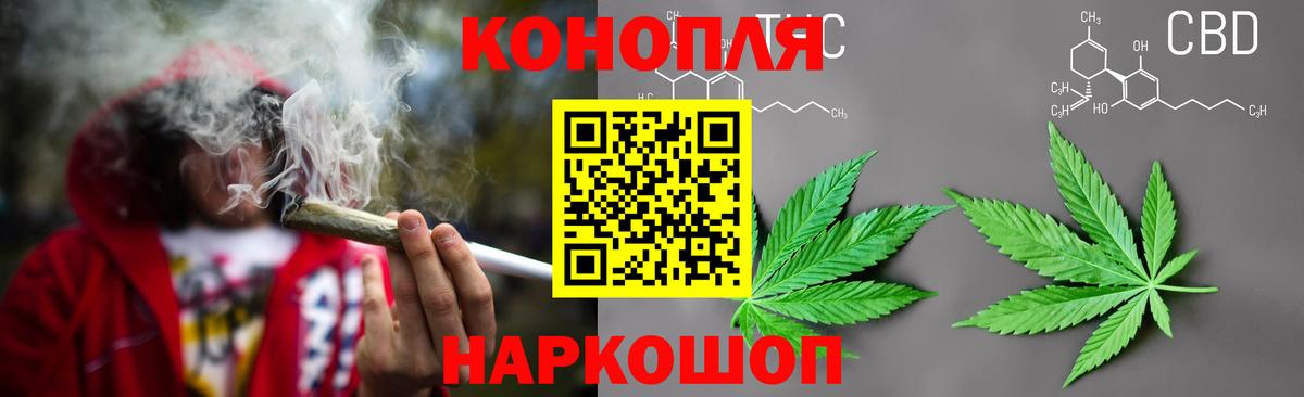 Конопля конопля  Каннабис Ganja  Каннабис сатива  Ишим  Вход с VPN  Каннабис планчик 
