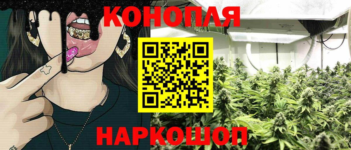 Бошки марихуана Amnesia Ишим